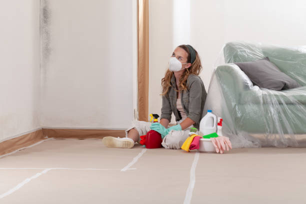 Reliable Black Mold Remediation contractor in Lewistown, IL by Car Mold Remediation